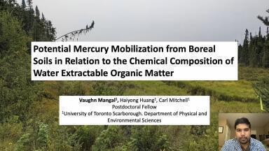 Potential Mercury Mobilization from Boreal Soils in Relation to the Chemical Composition of Water Extractable